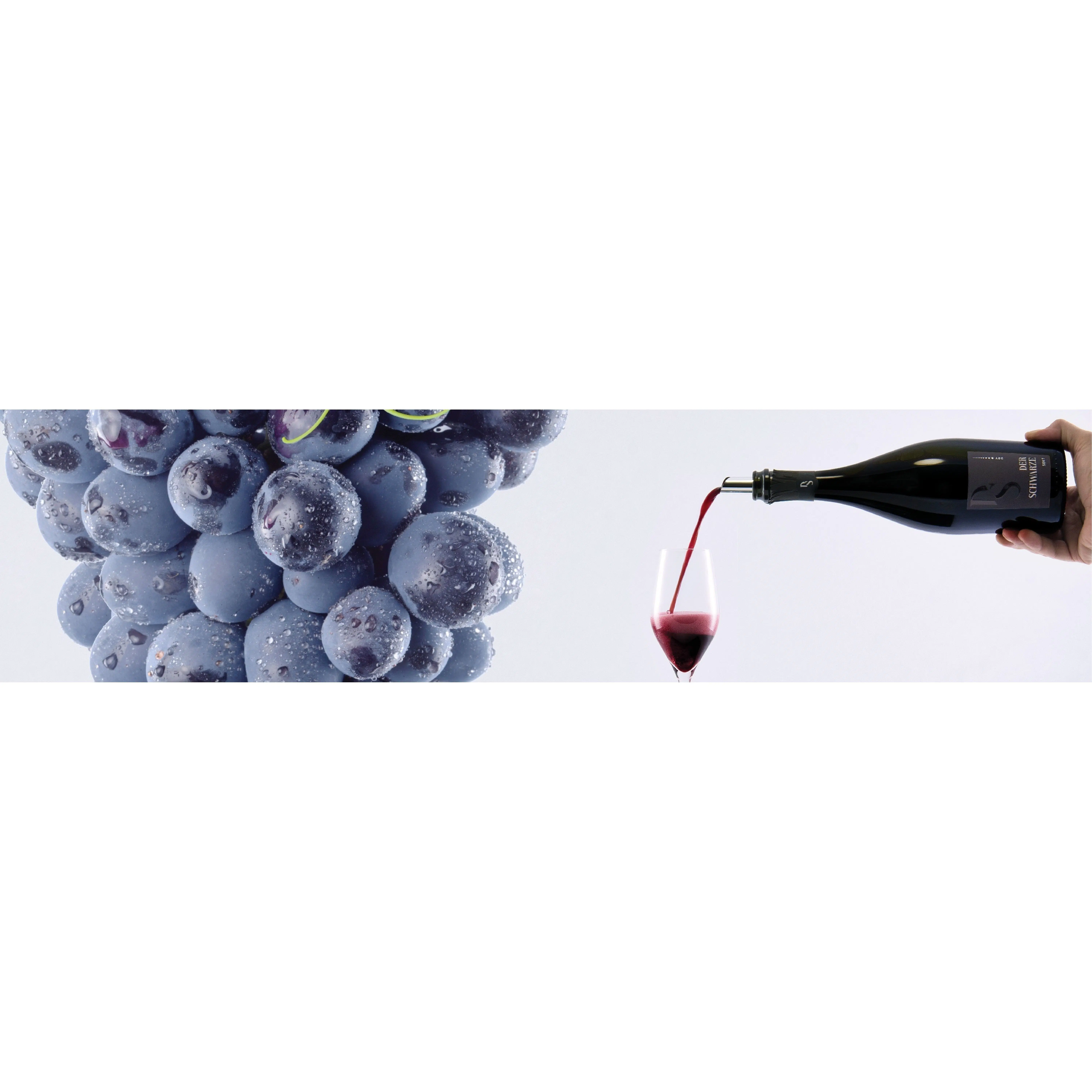 Kaufen Sie Der Schwarze Sekt Produkte online zu Großhandelspreisen