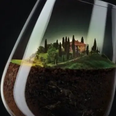 SO-TRADE WINE : VINS CASHER