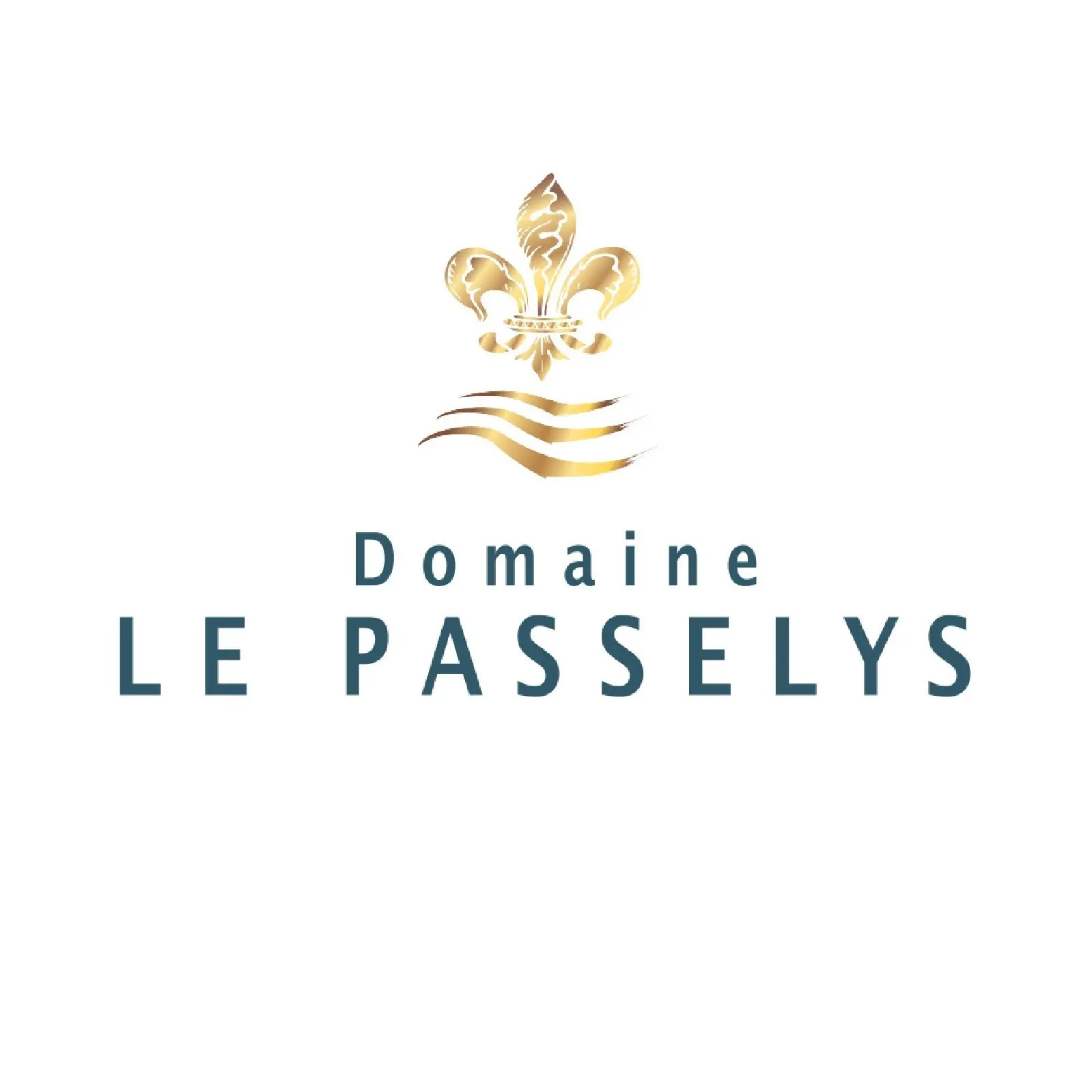 DOMAINE LE PASSELYS