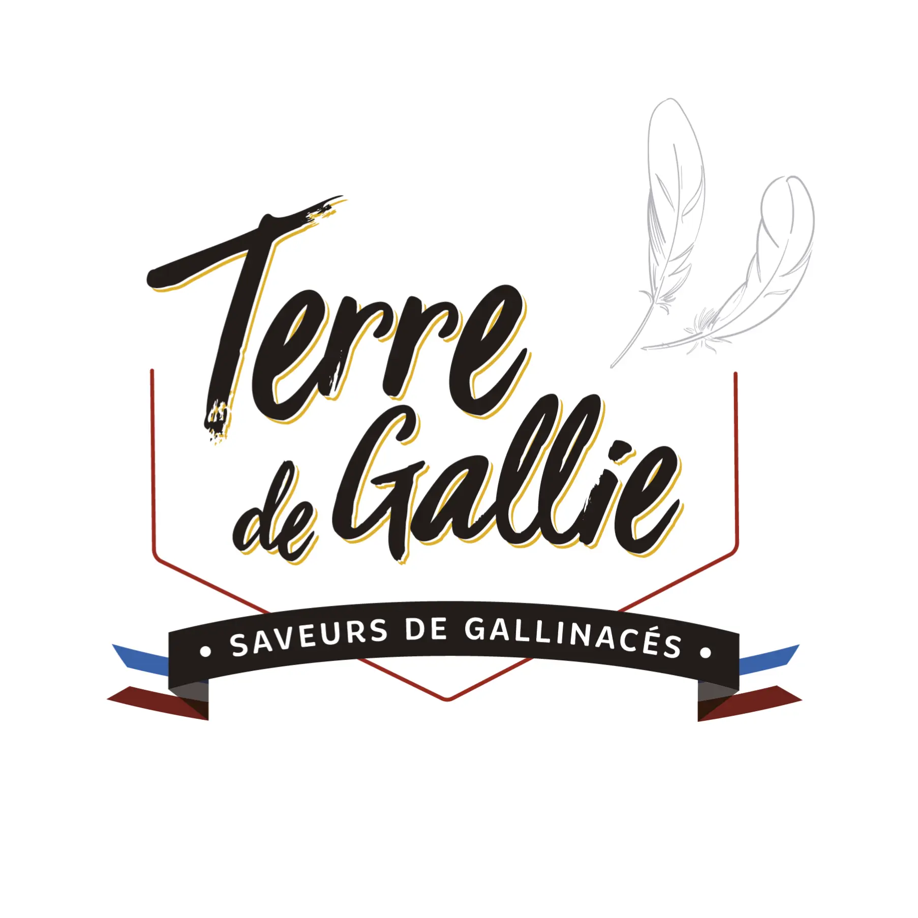 TERRE DE GALLIE