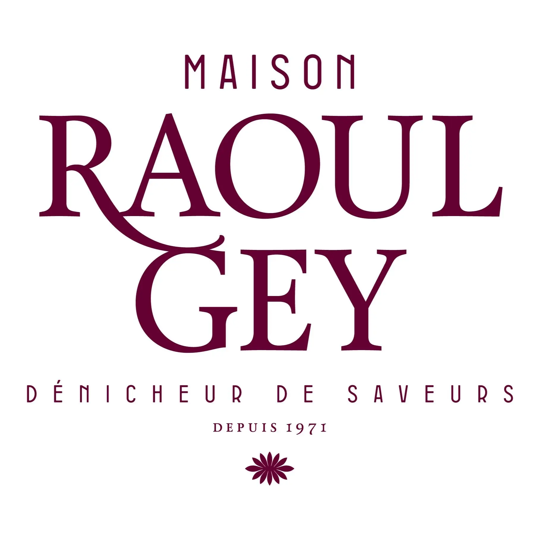 Maison Raoul GEY