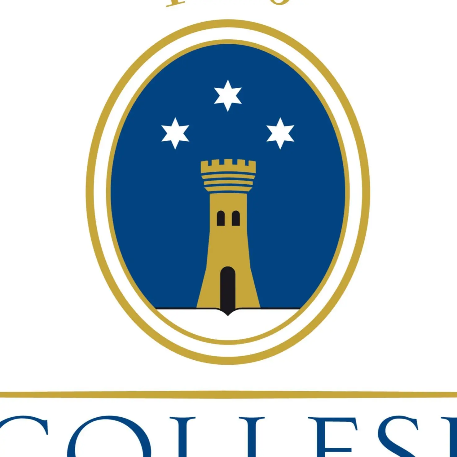 COLLESI TRADE SRL