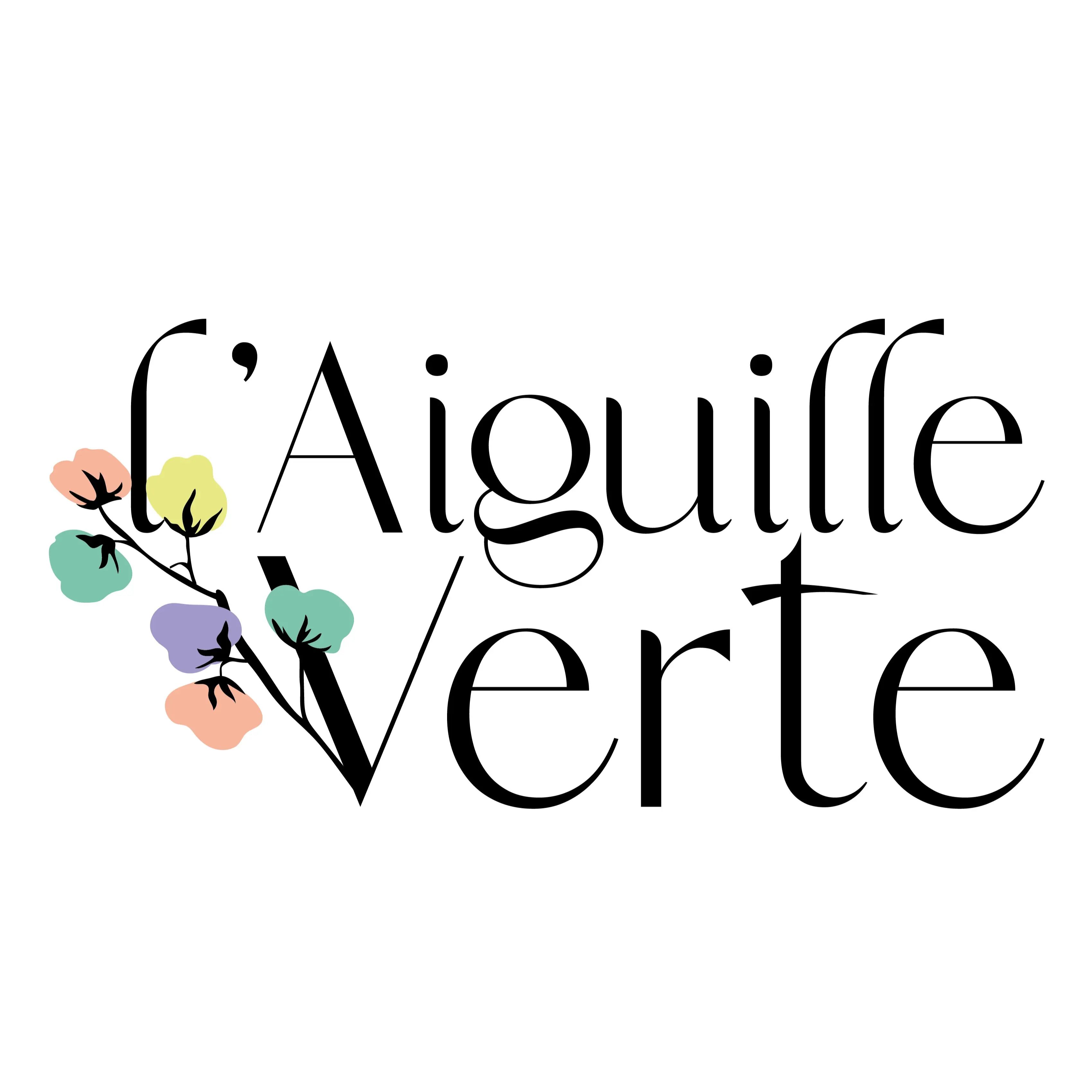 l'Aiguille Verte
