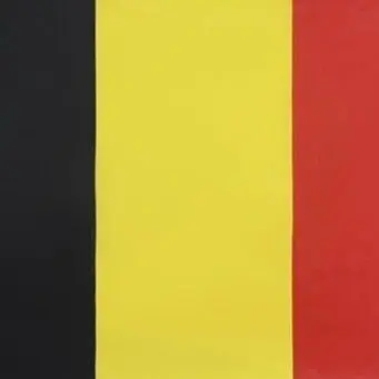 Belge une fois SRL