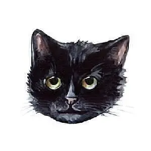 Cat e Lolette