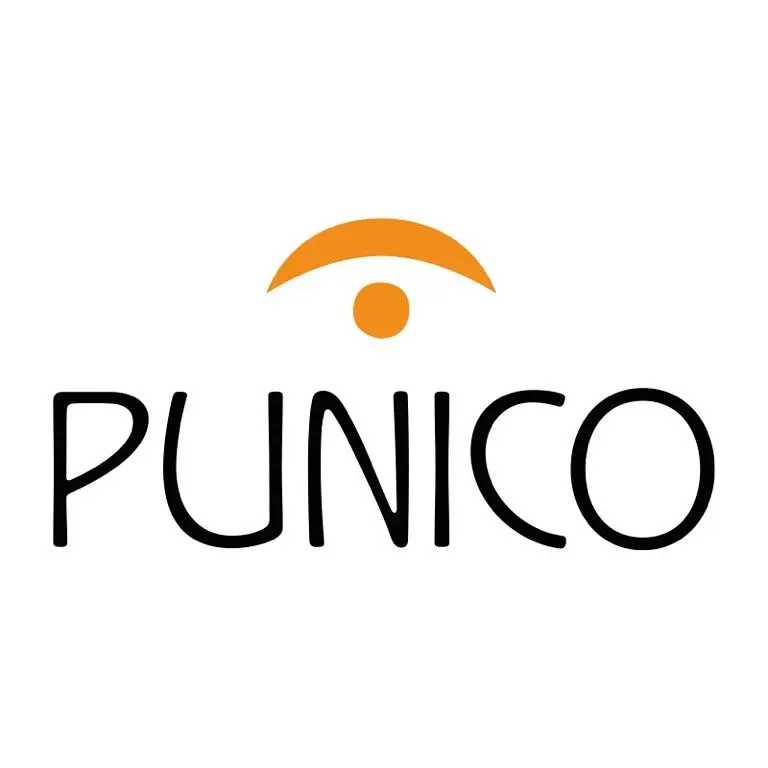 Punico