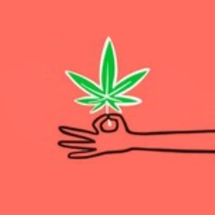 Les Plantes au Naturel