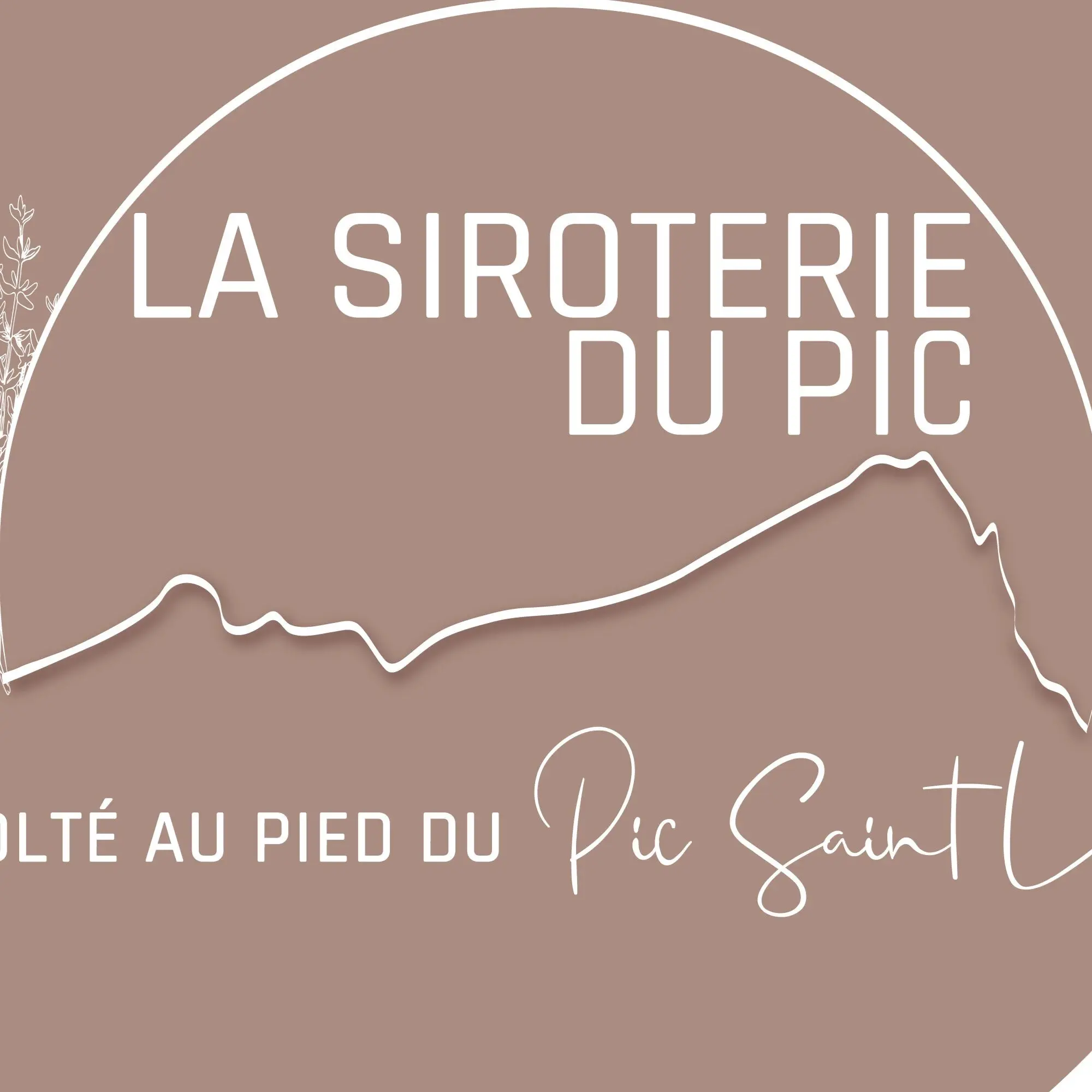 La Siroterie du Pic