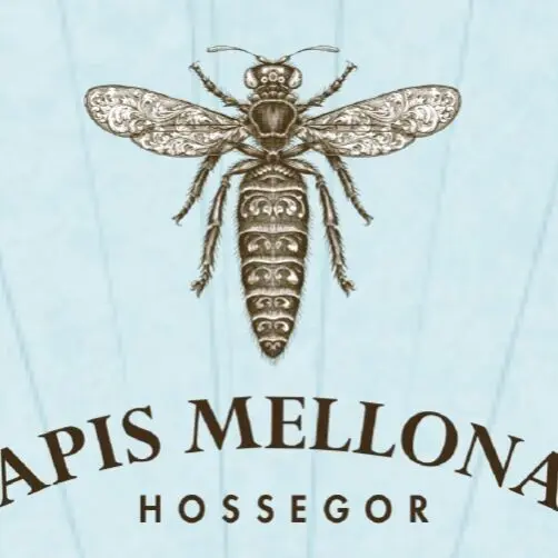 Apis Mellona