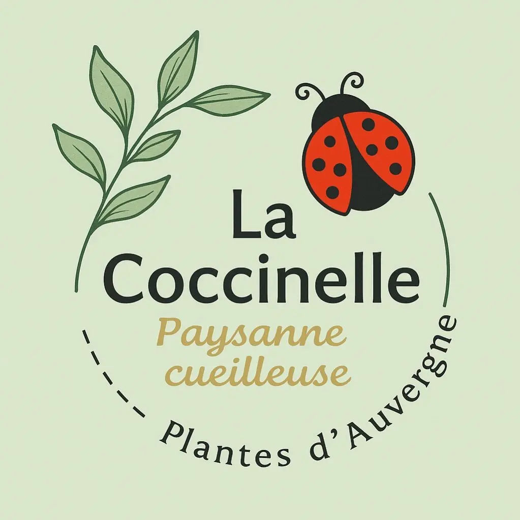 la coccinelle