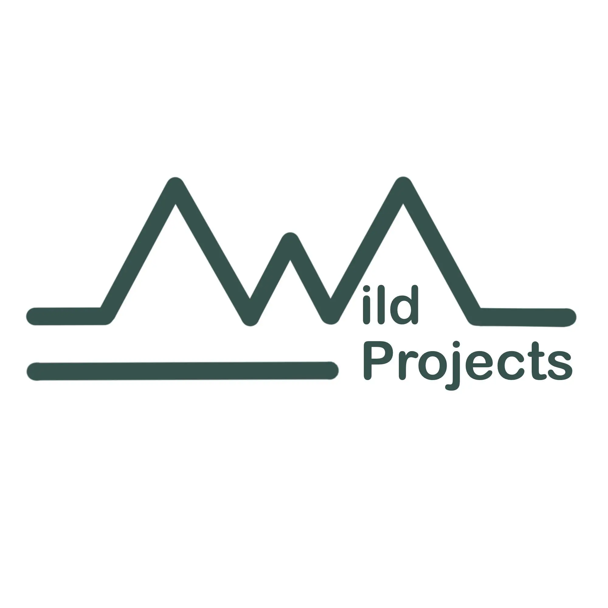 Wild Projects