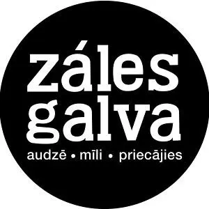 Zales galva