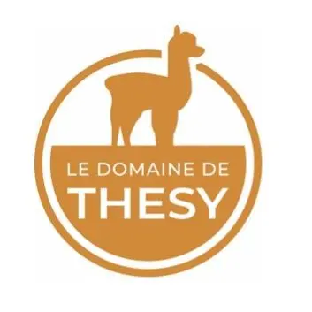 Thesy