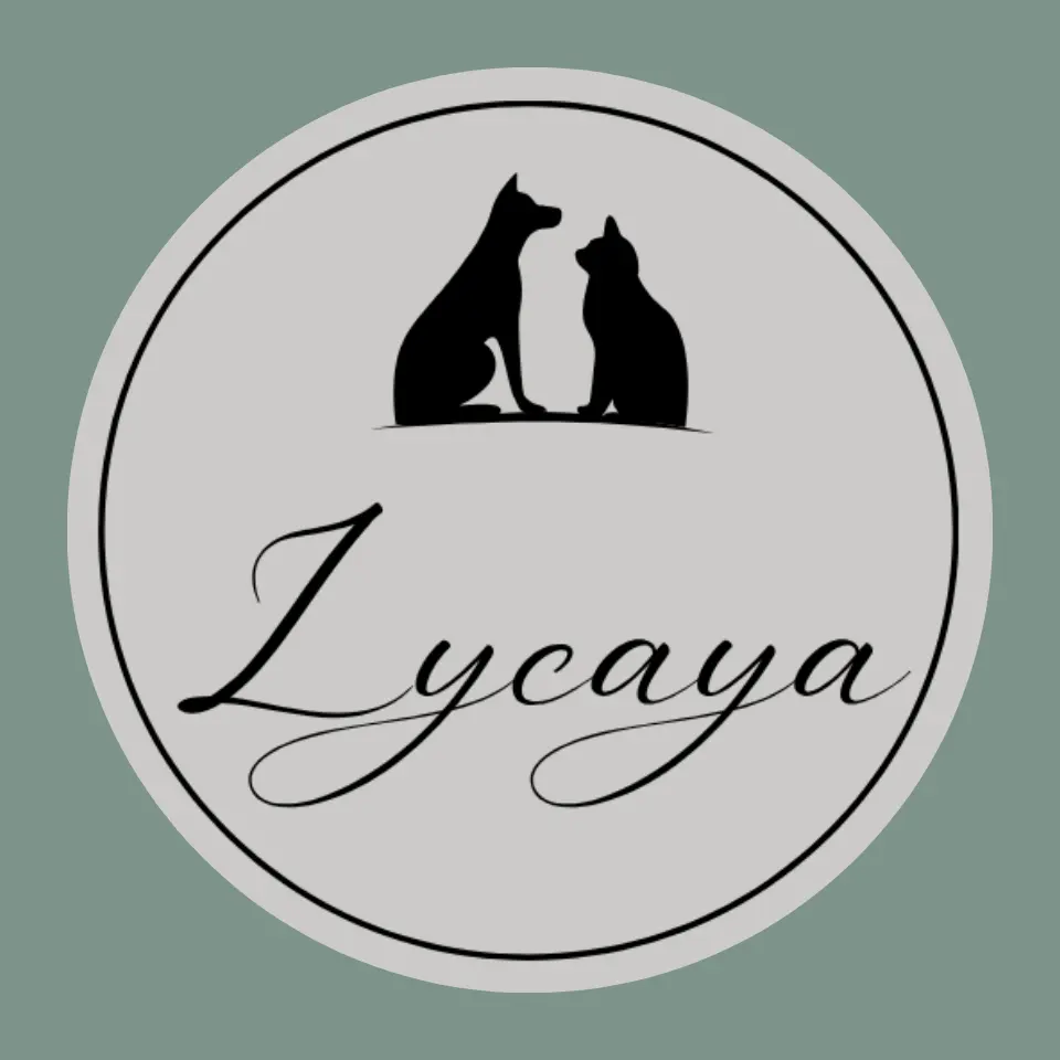 LYCAYA