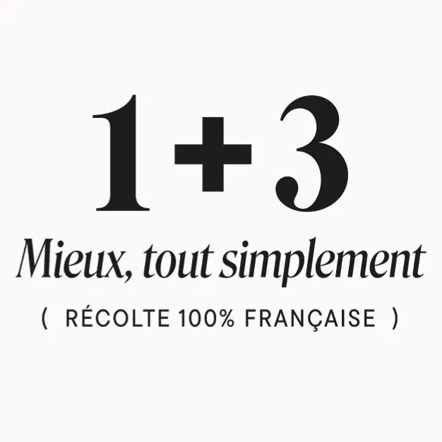 1+3