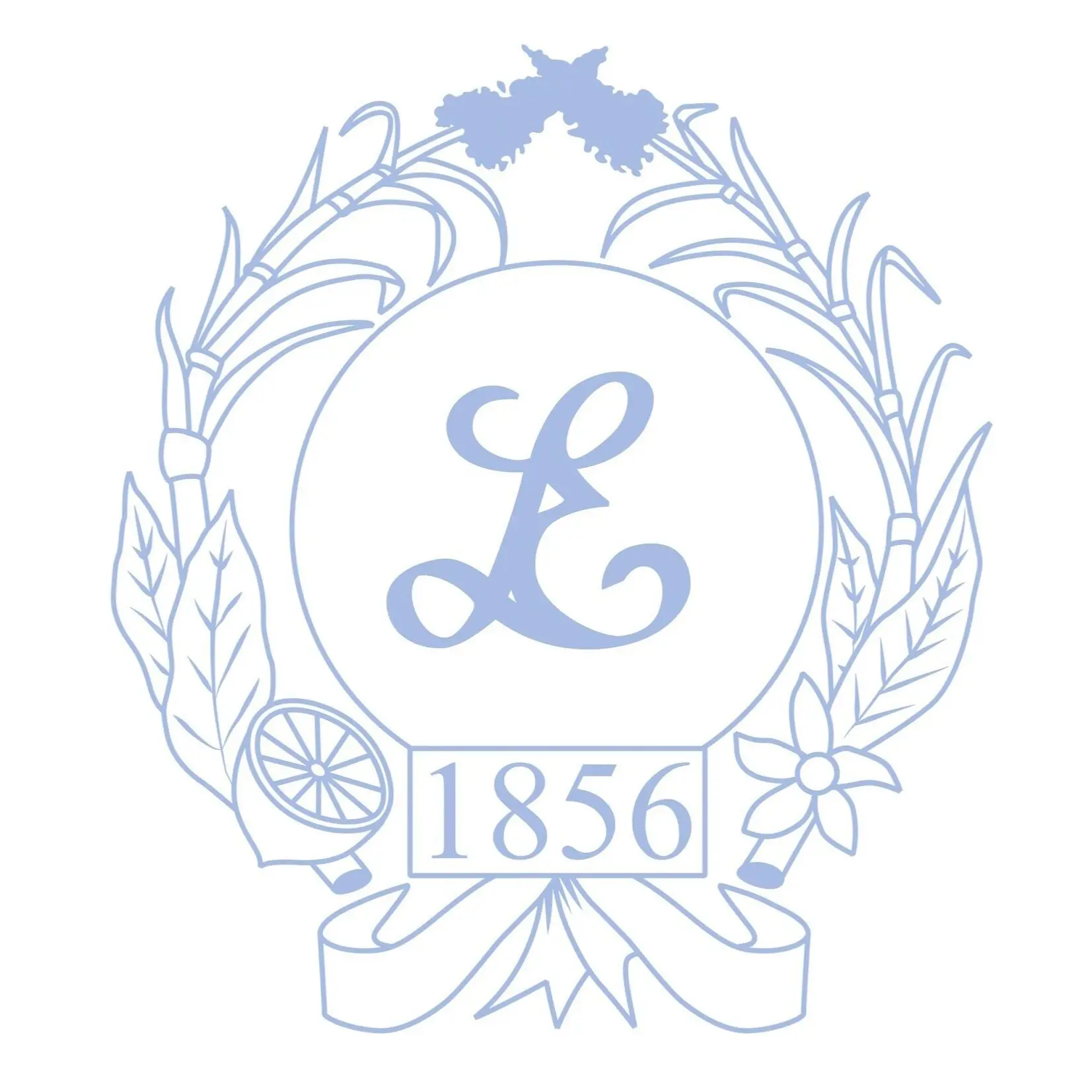 Elixia Limonade Artisanale depuis 1856