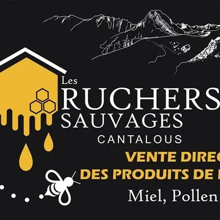 Les ruchers sauvages cantalous