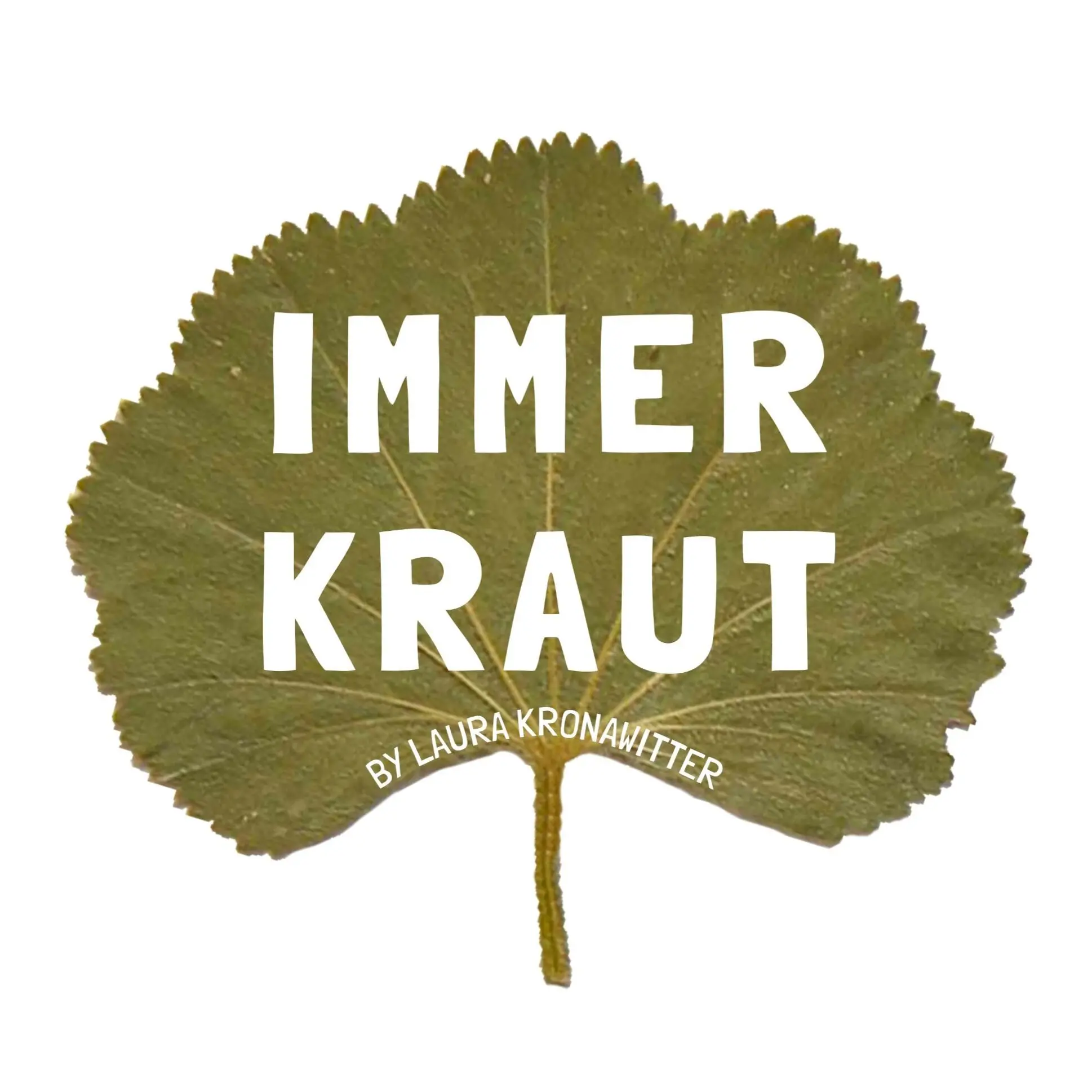 Immerkraut