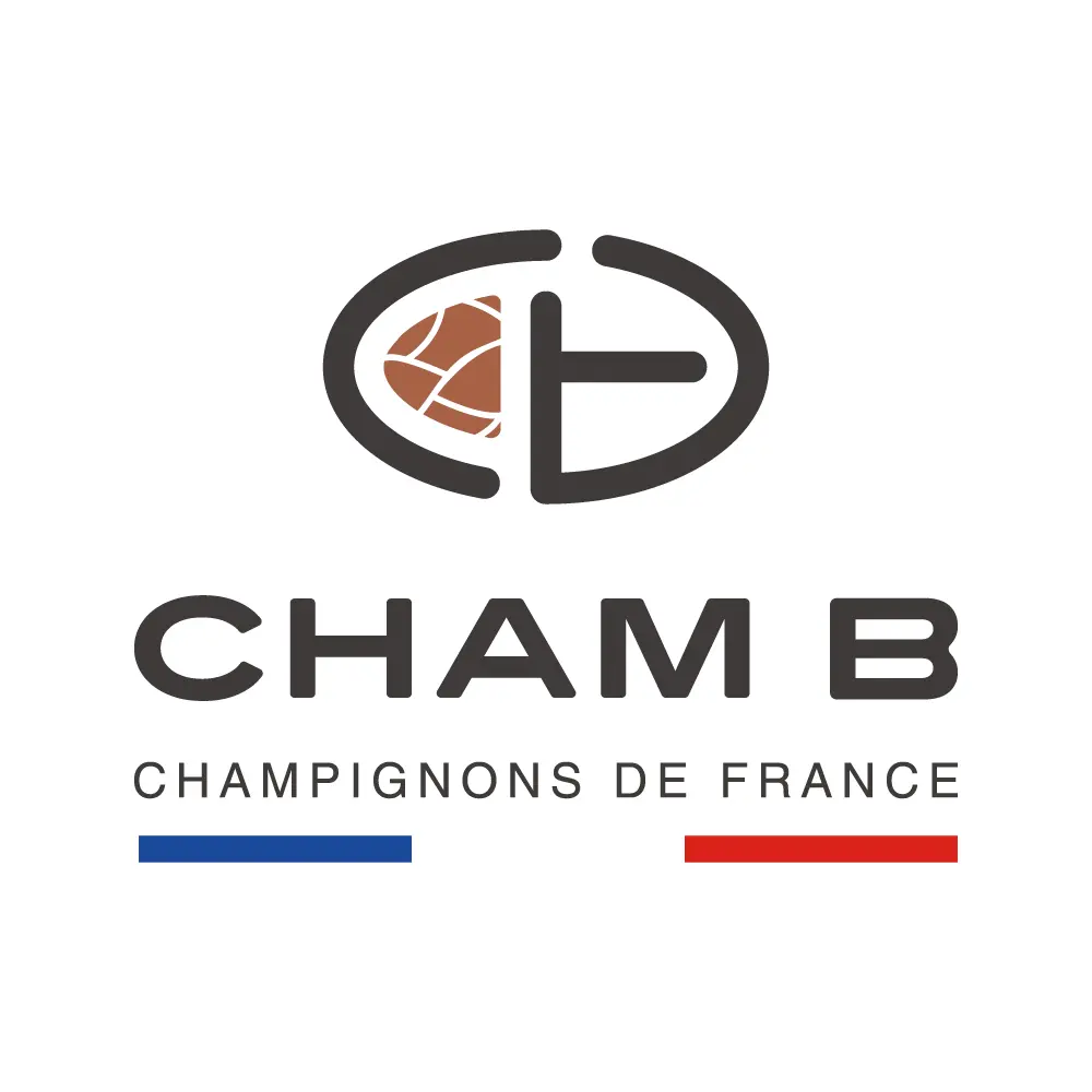 CHAM B