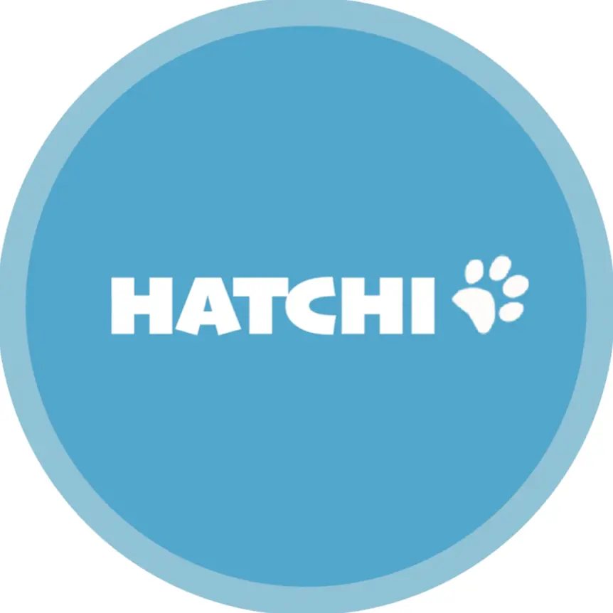 Hatchi