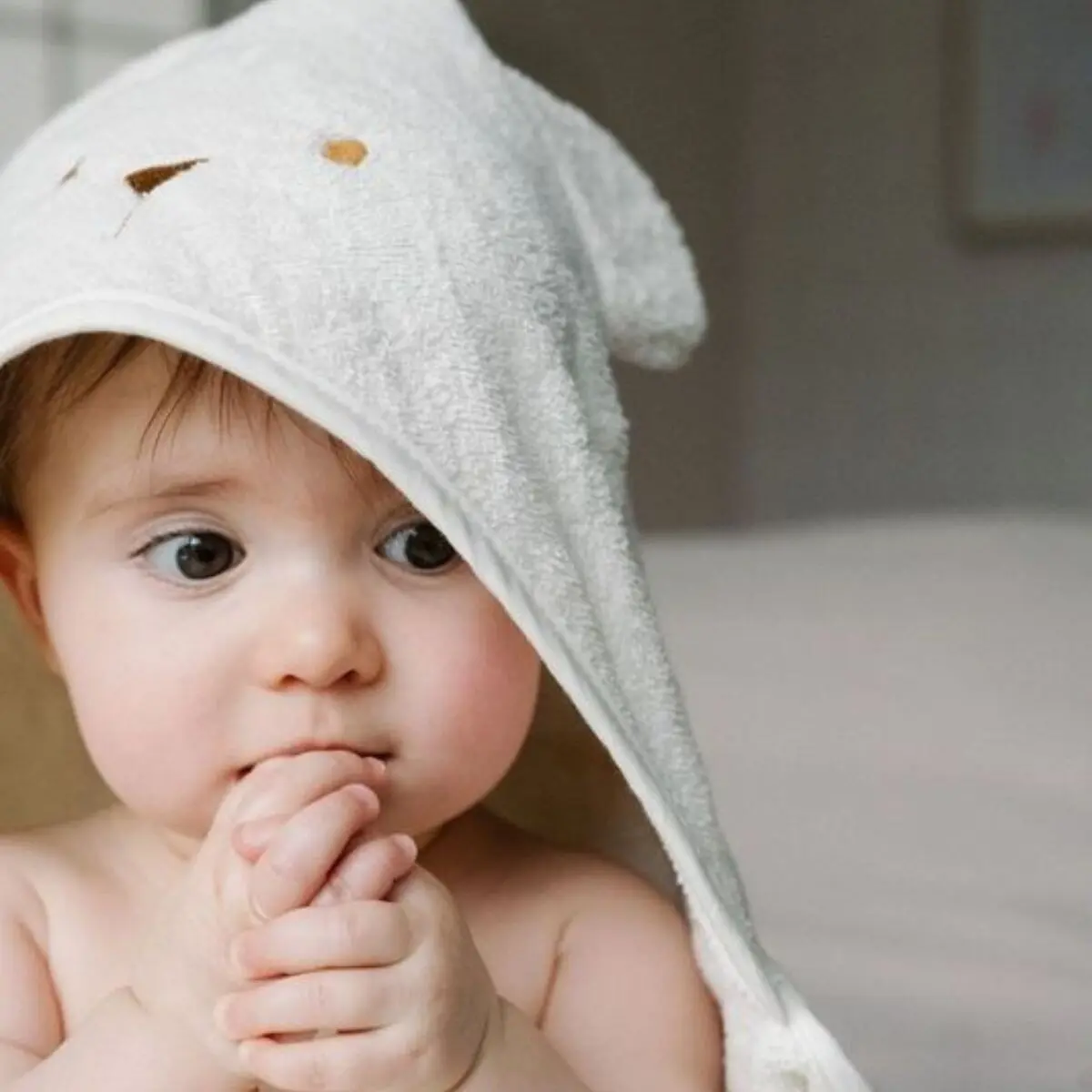 Little Crevette