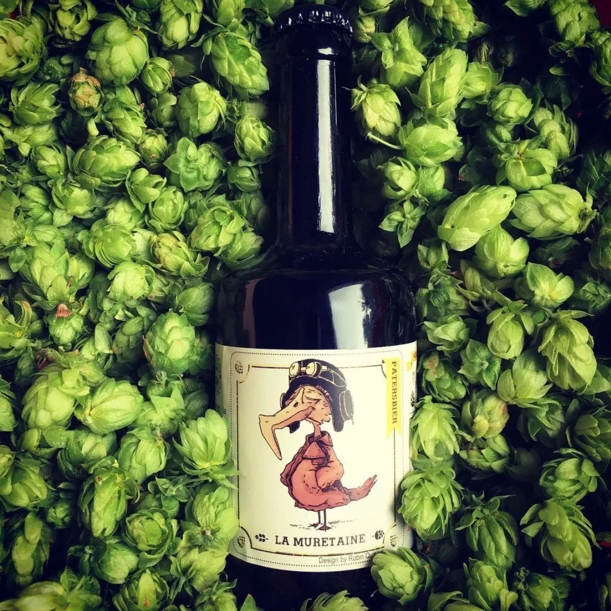 Le Veilleur de bières – Bières artisanales bio & engagées