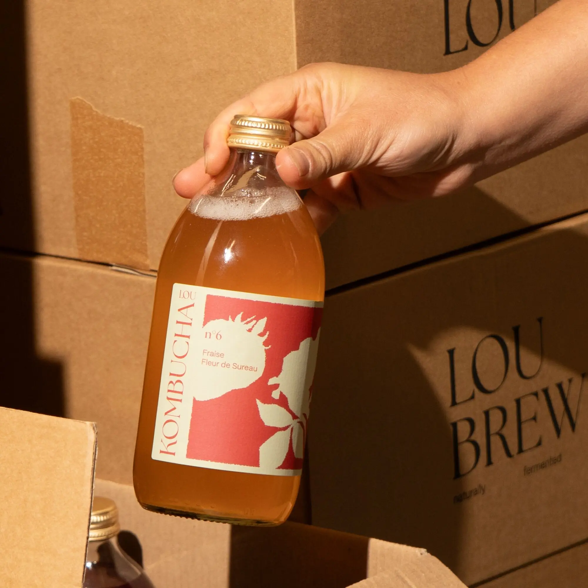 Lou Kombucha