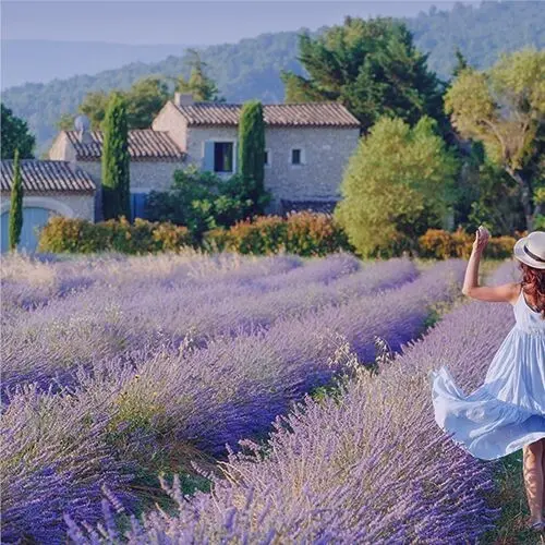 PROVENCE D'ANTAN