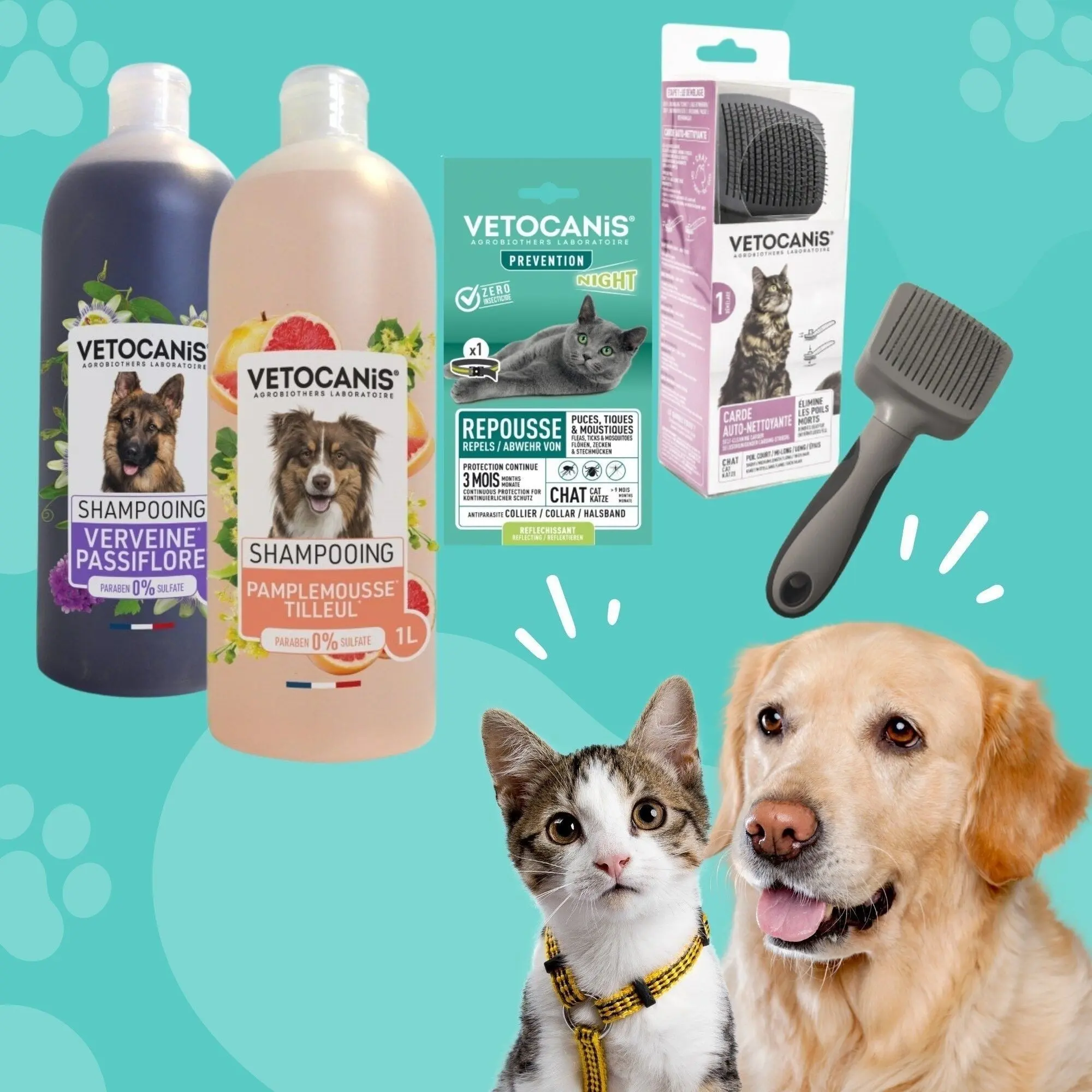 Vetocanis