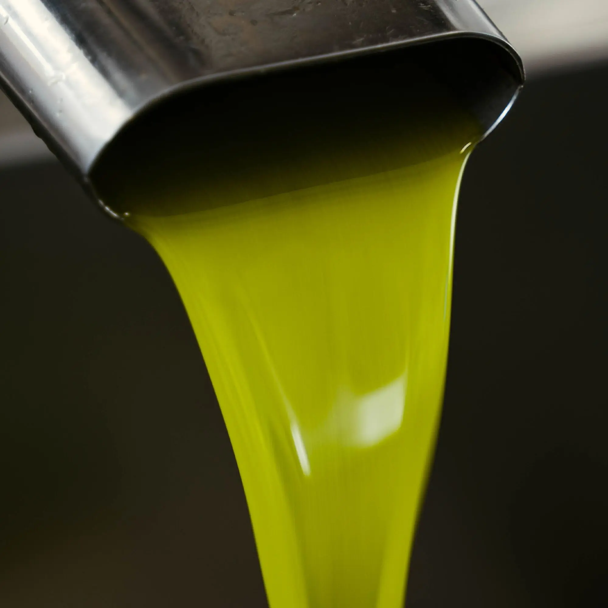 OLIO DI SERRA