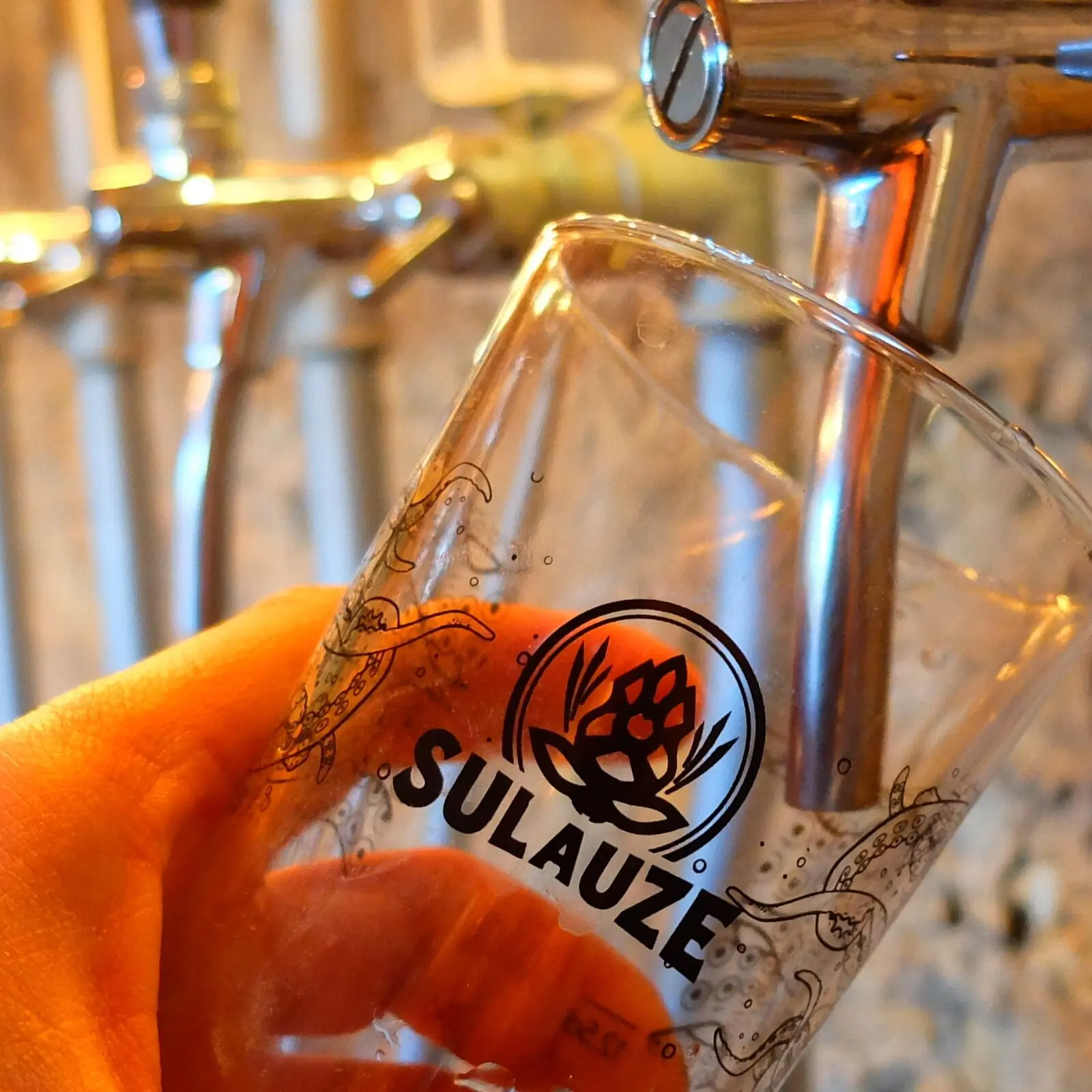 Brasserie de Sulauze
