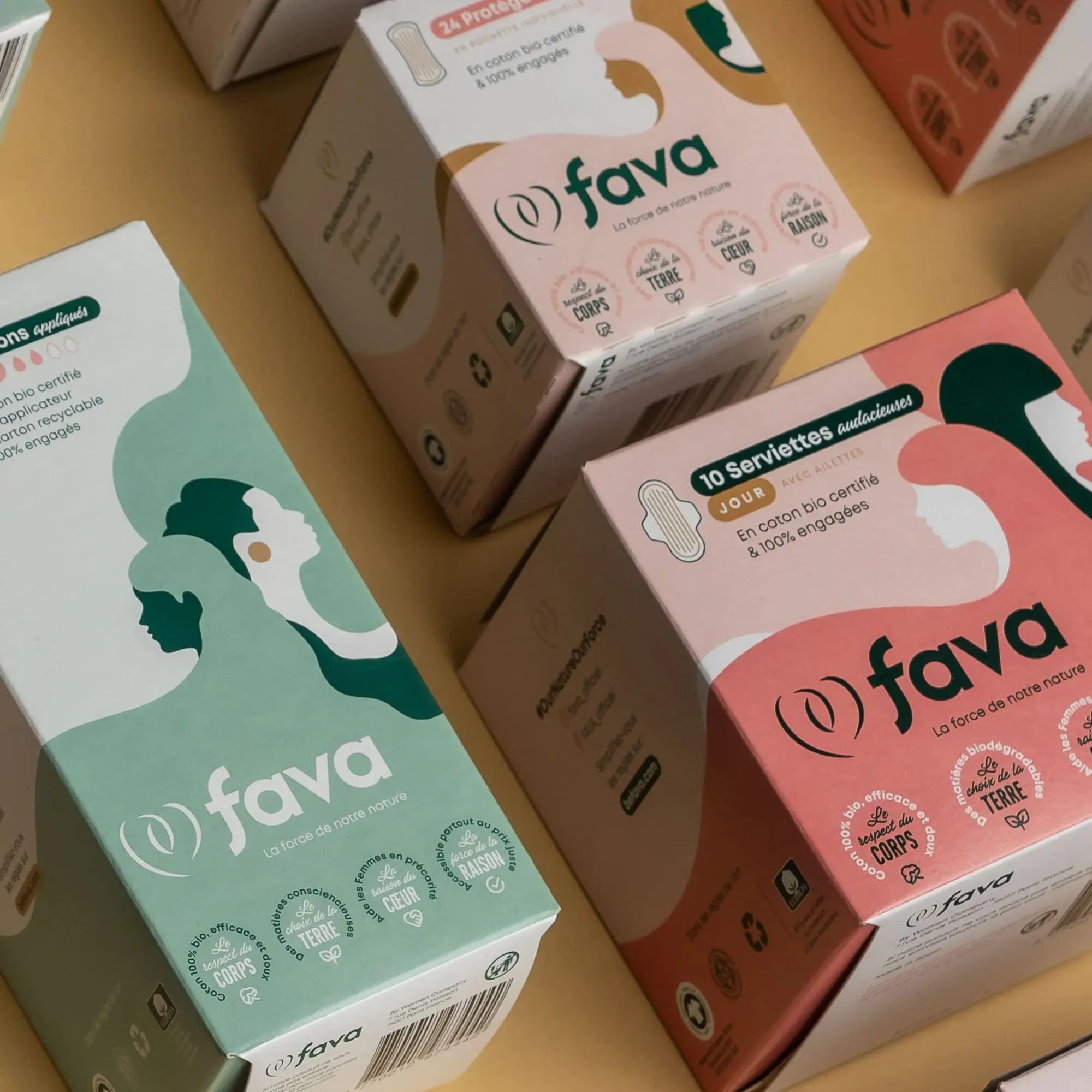 FAVA