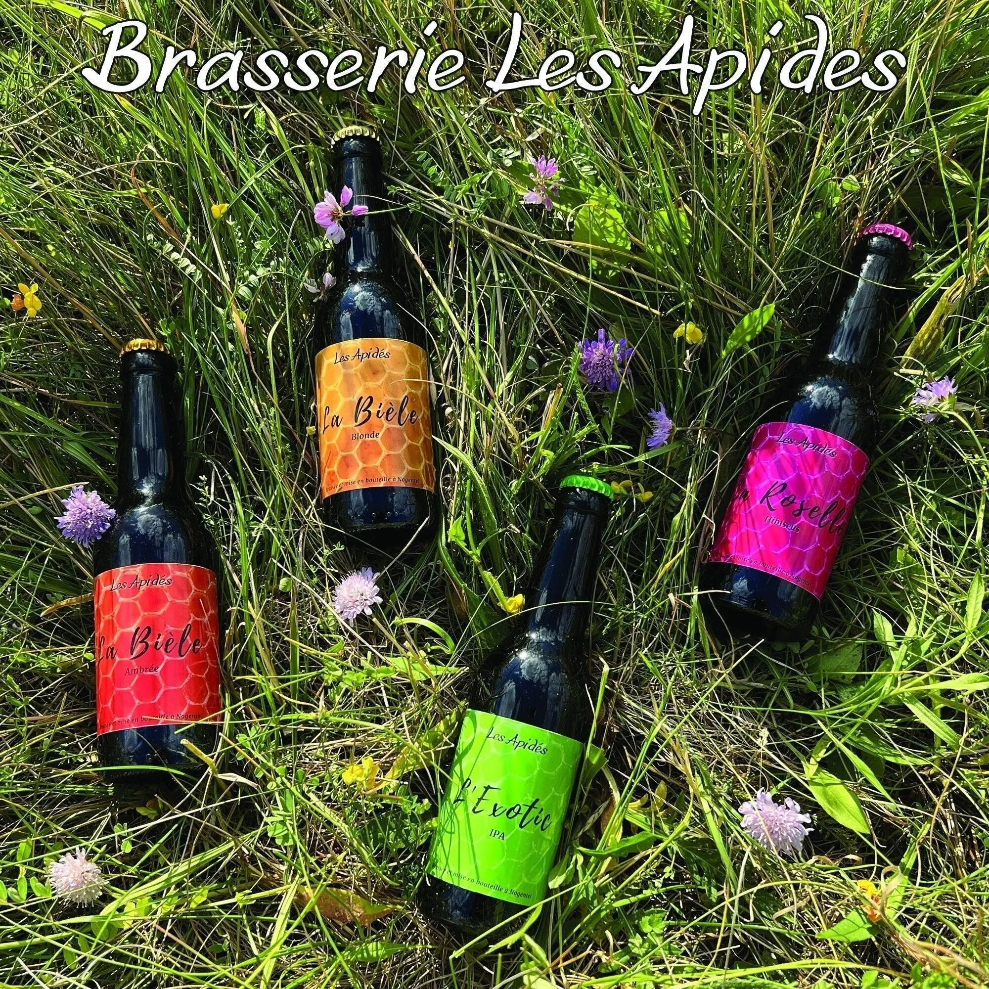 Brasserie Les Apidés