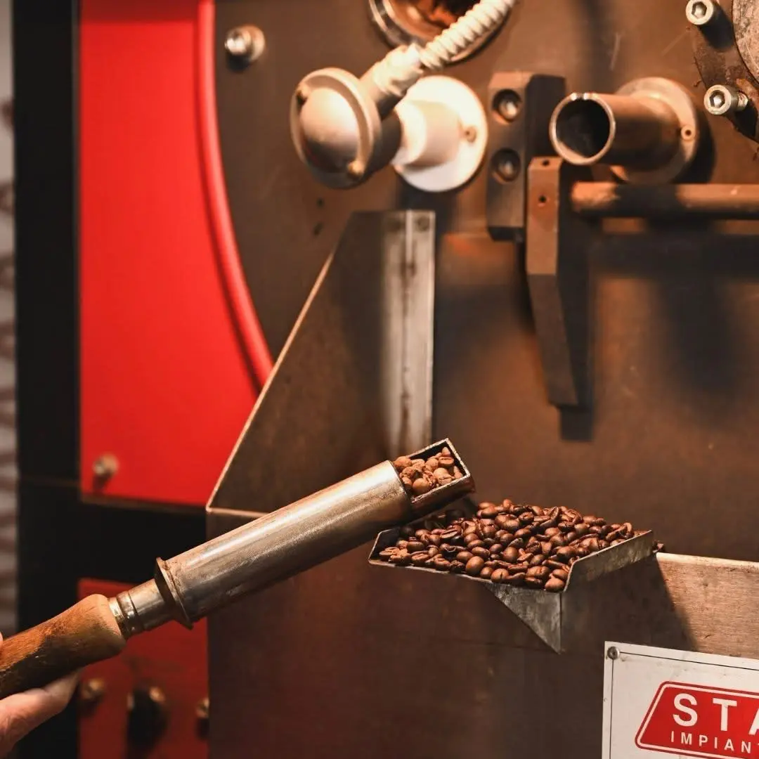 caffè ginevra srl