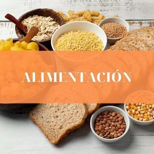SOLO SIN GLUTEN