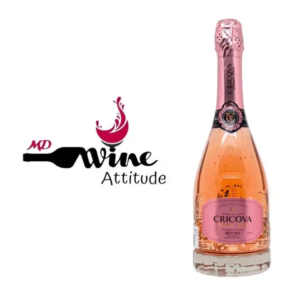 Wine Attitude