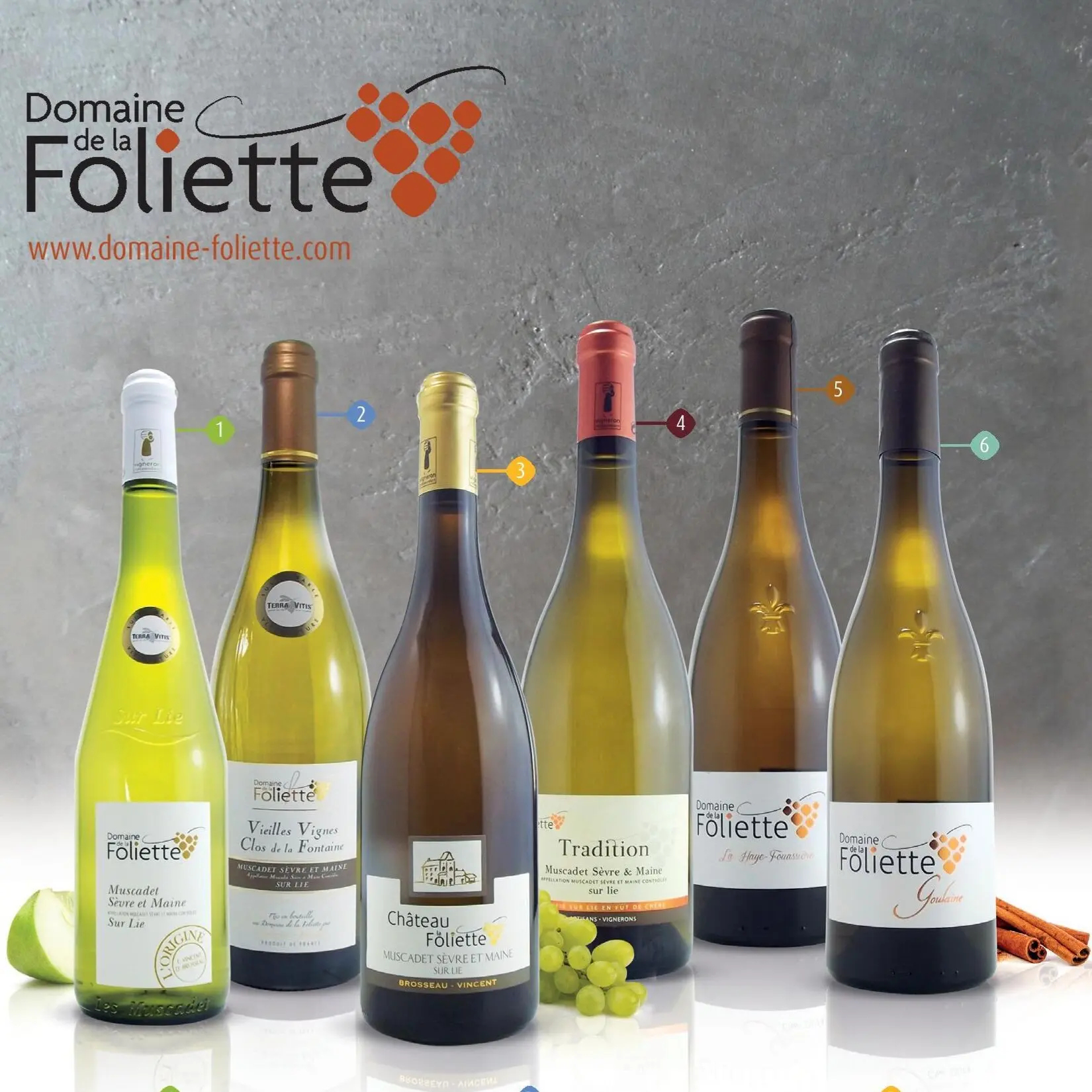 Domaine de la Foliette