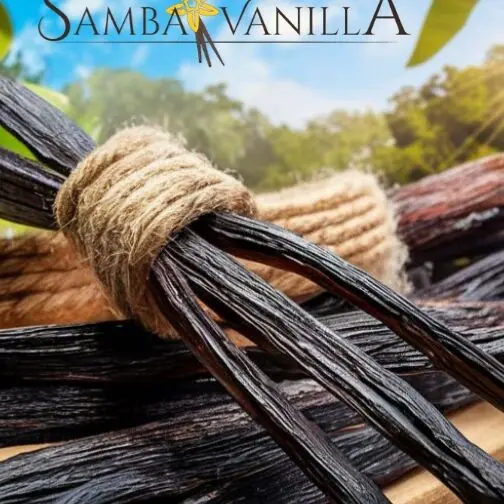 Sambavanilla
