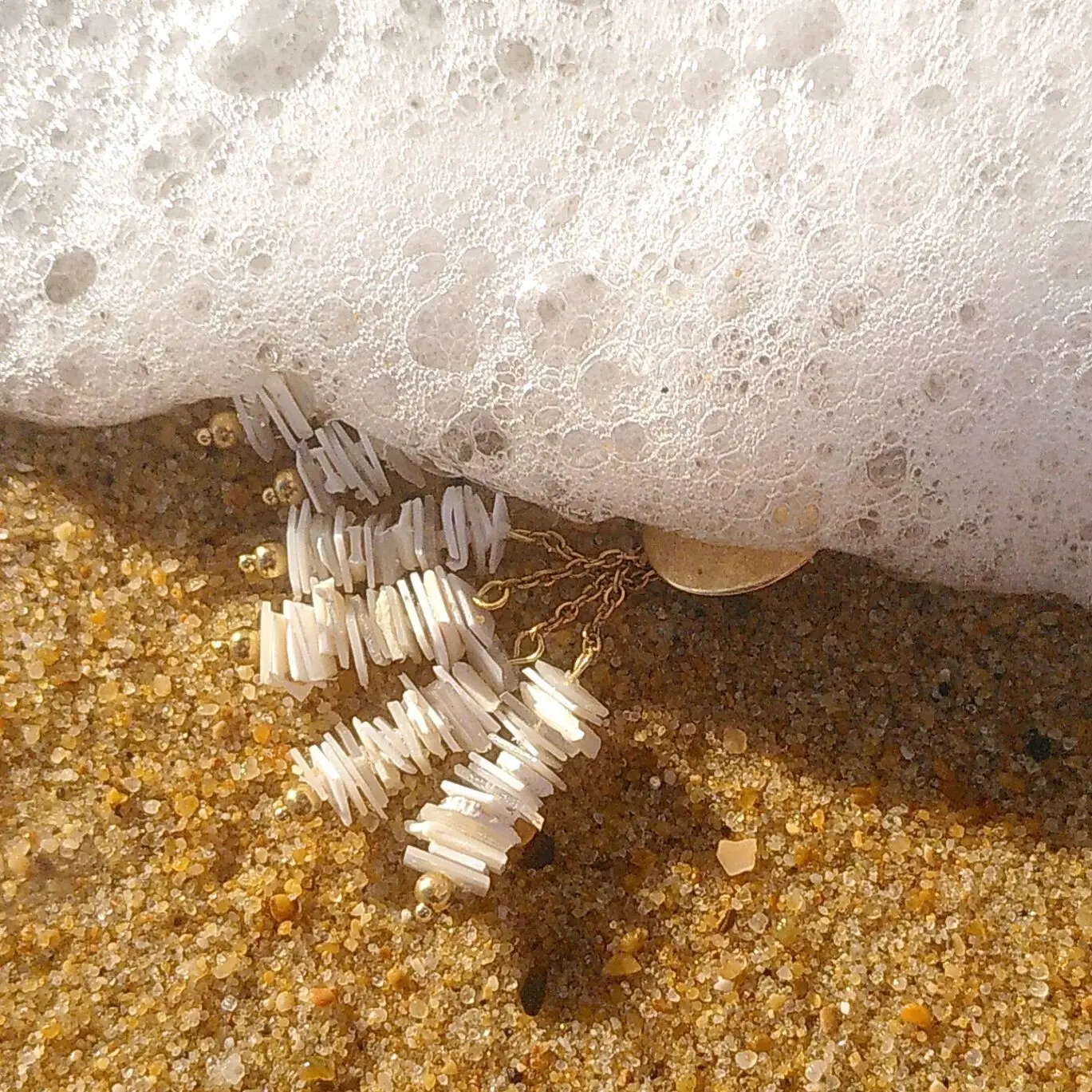 Marine in Hossegor