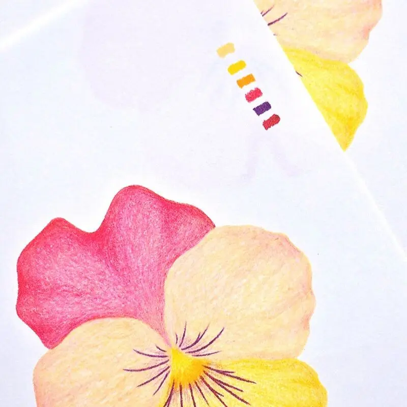 Marcela Art