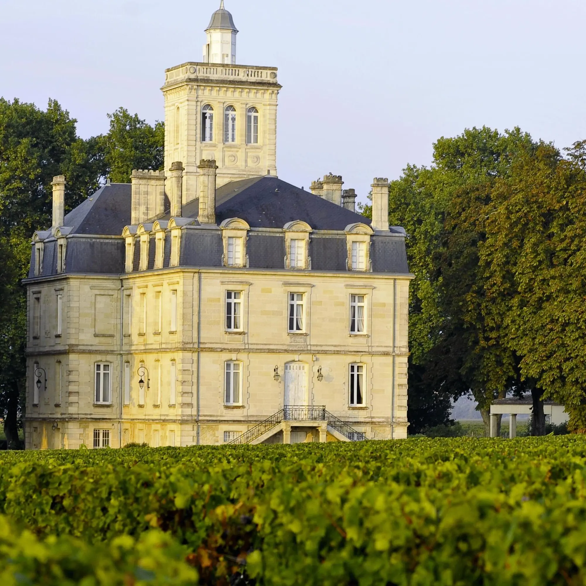 VIGNOBLES DE LAROSE