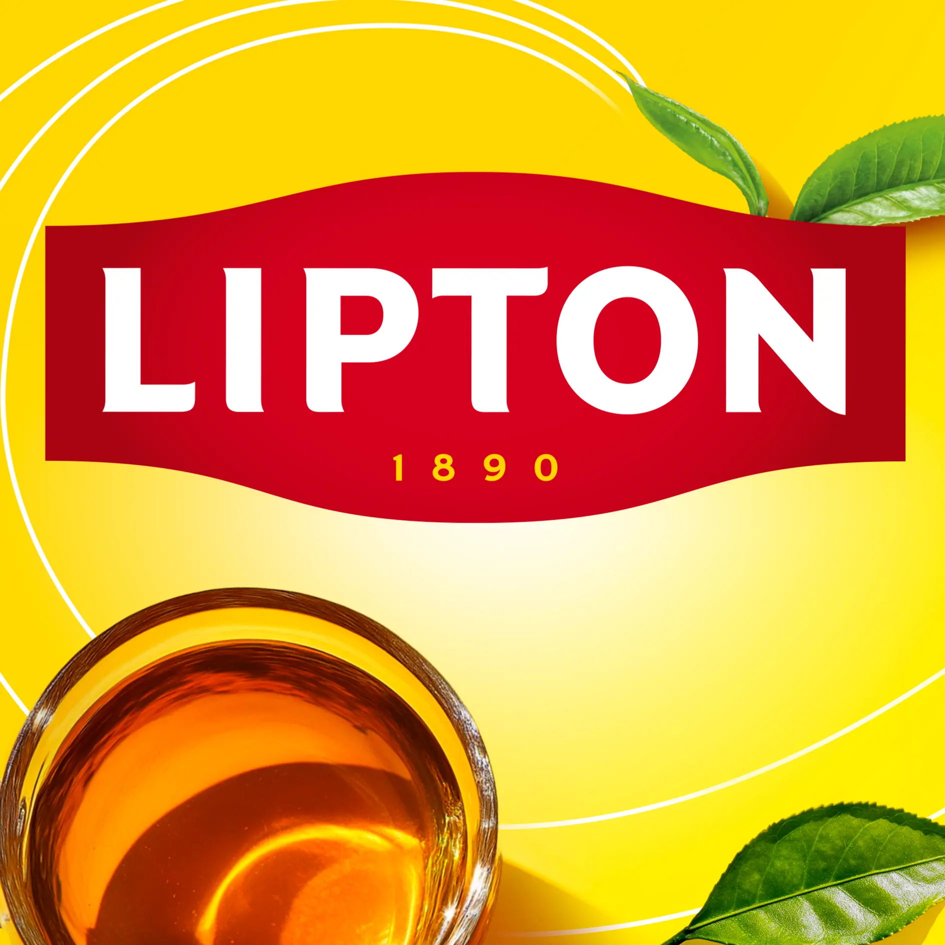 Lipton