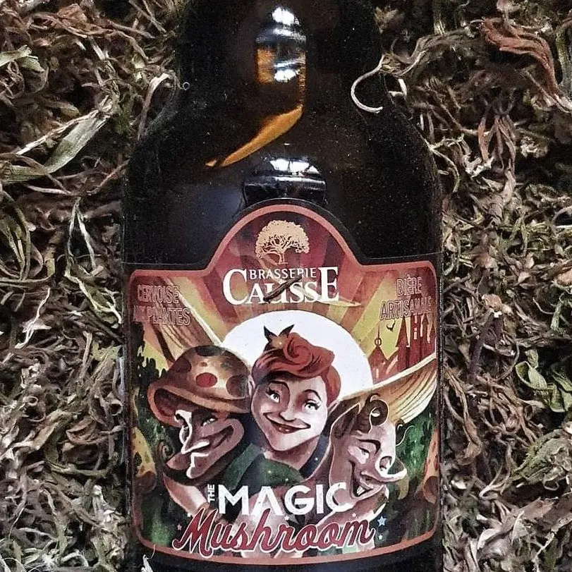 BRASSERIE DU CAUSSE