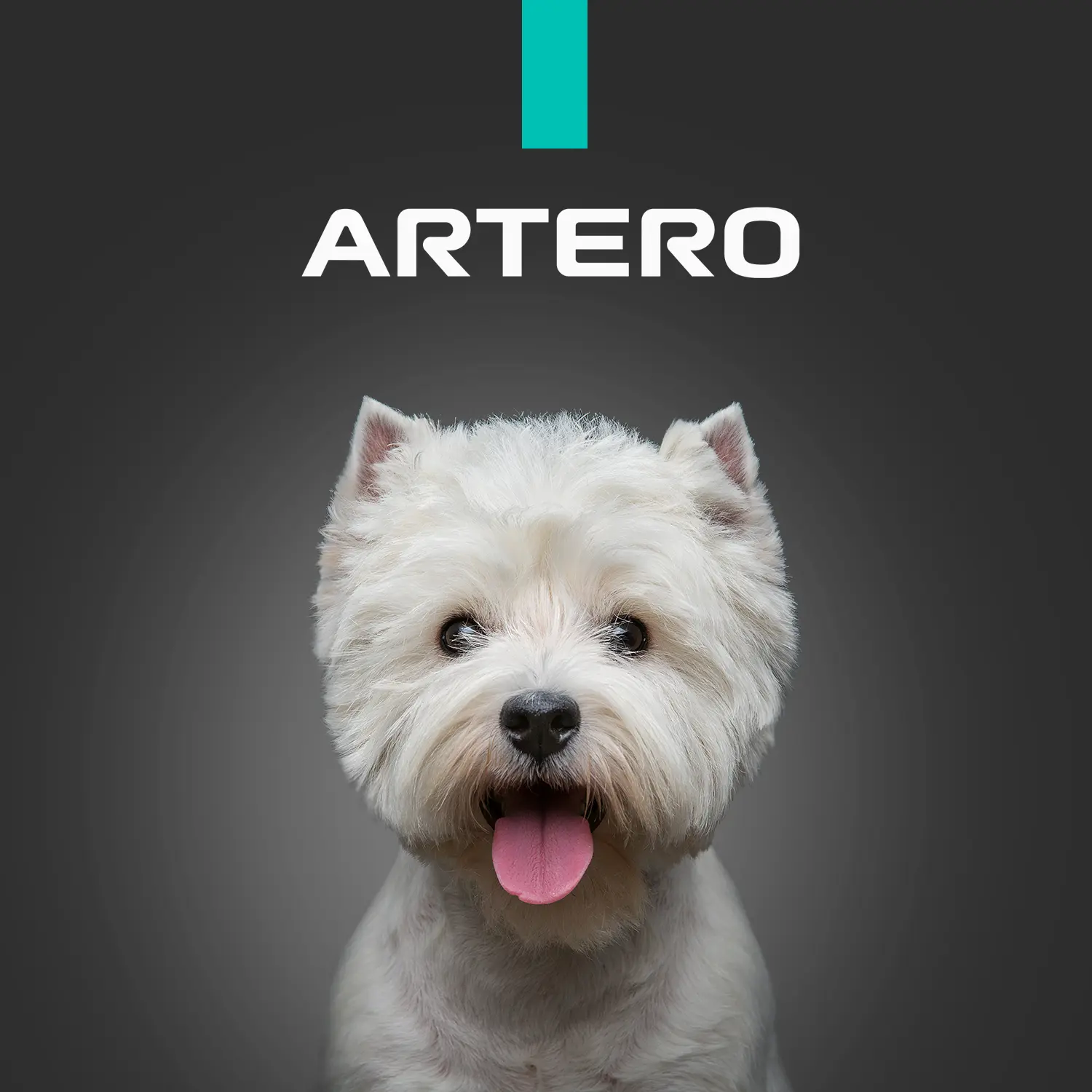 ARTERO UK LTD