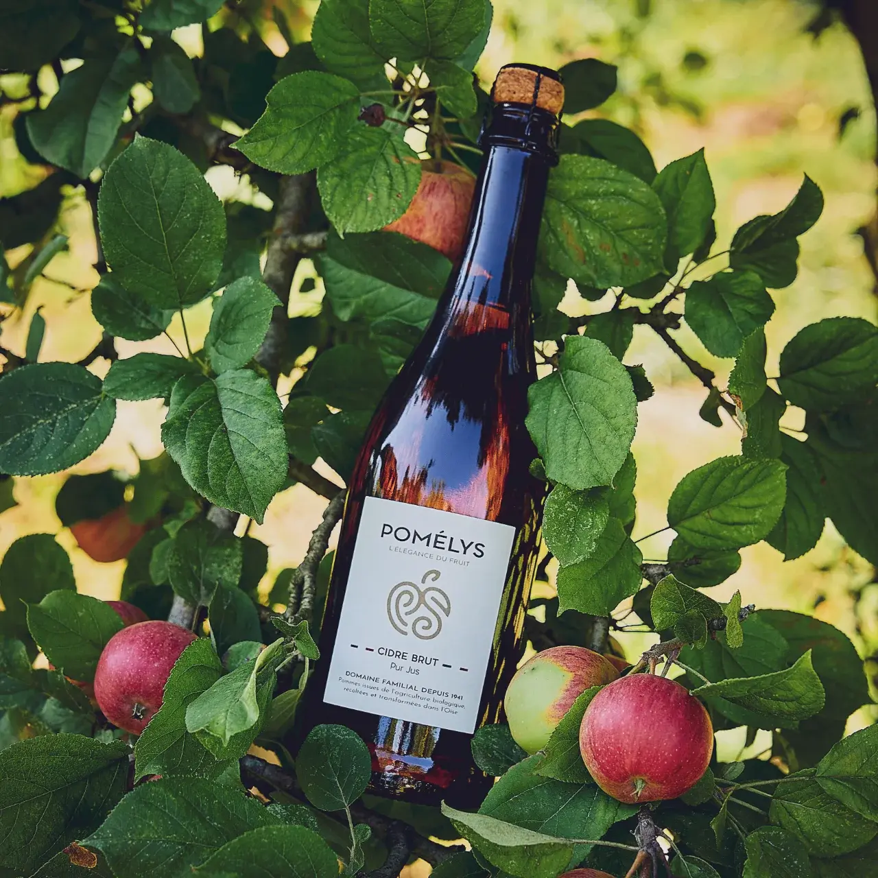 POMELYS