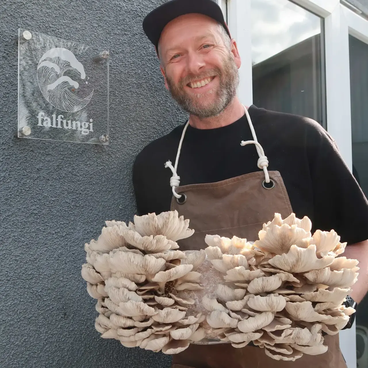 falfungi