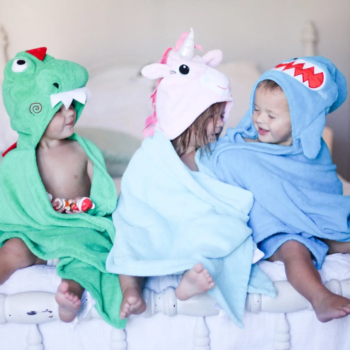 Zoocchini