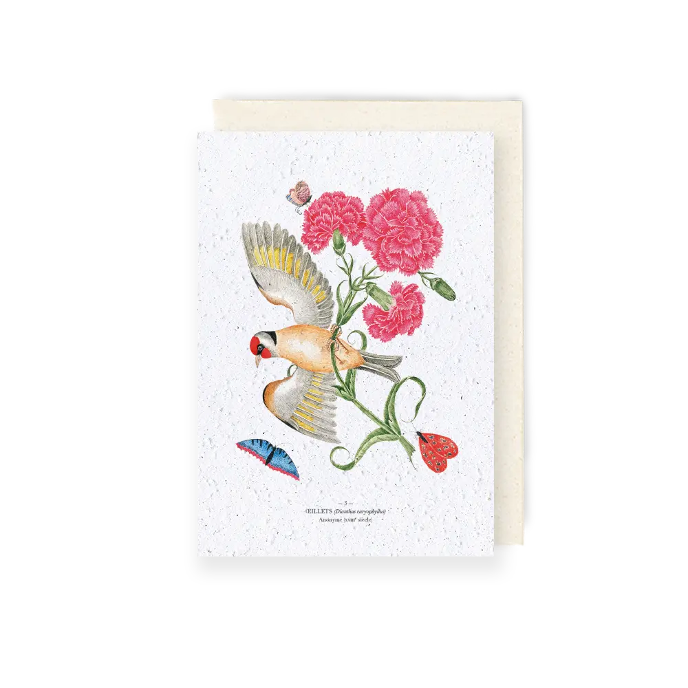 Plantable card, Carnation and bird
