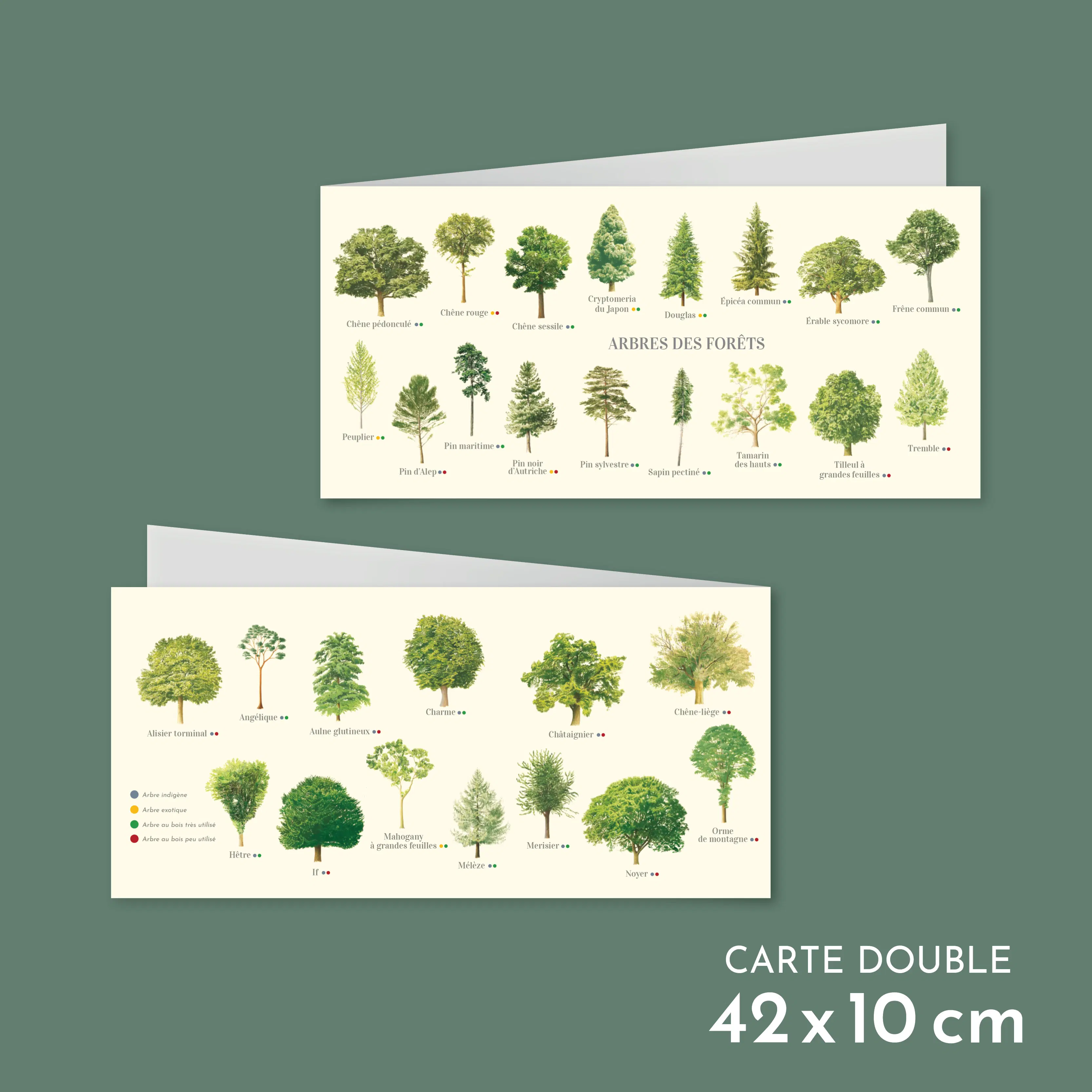 Carte double - Arbres des forêts - 42 x 10 cm