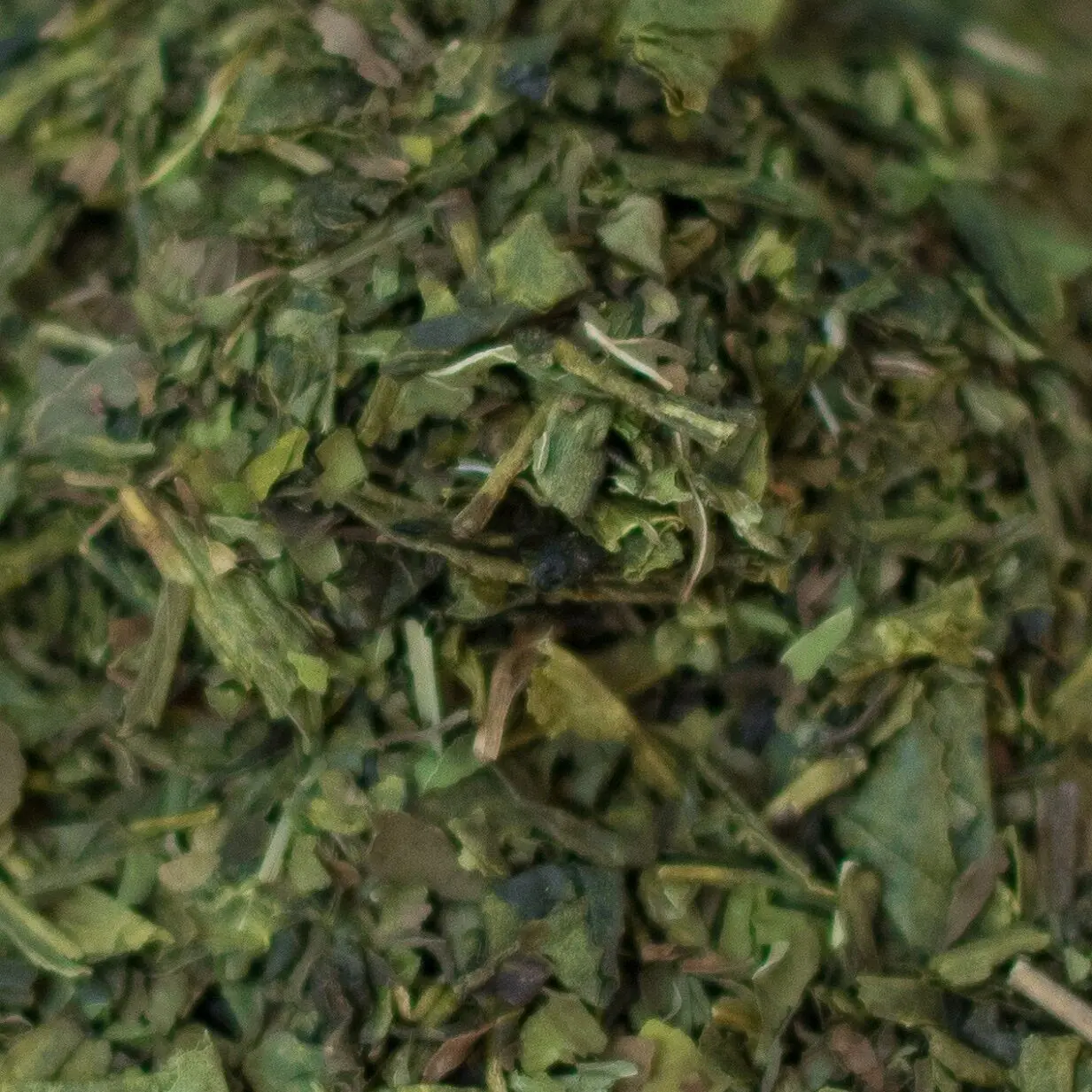 Minzgrüner Tee - BULK 1kg